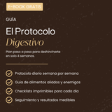 E-BOOK / EL PROTOCOLO DIGESTIVO